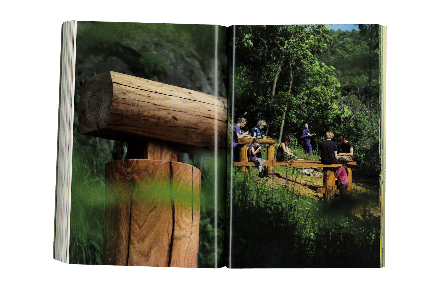 Photo by Antônio Frederico Lasalvia