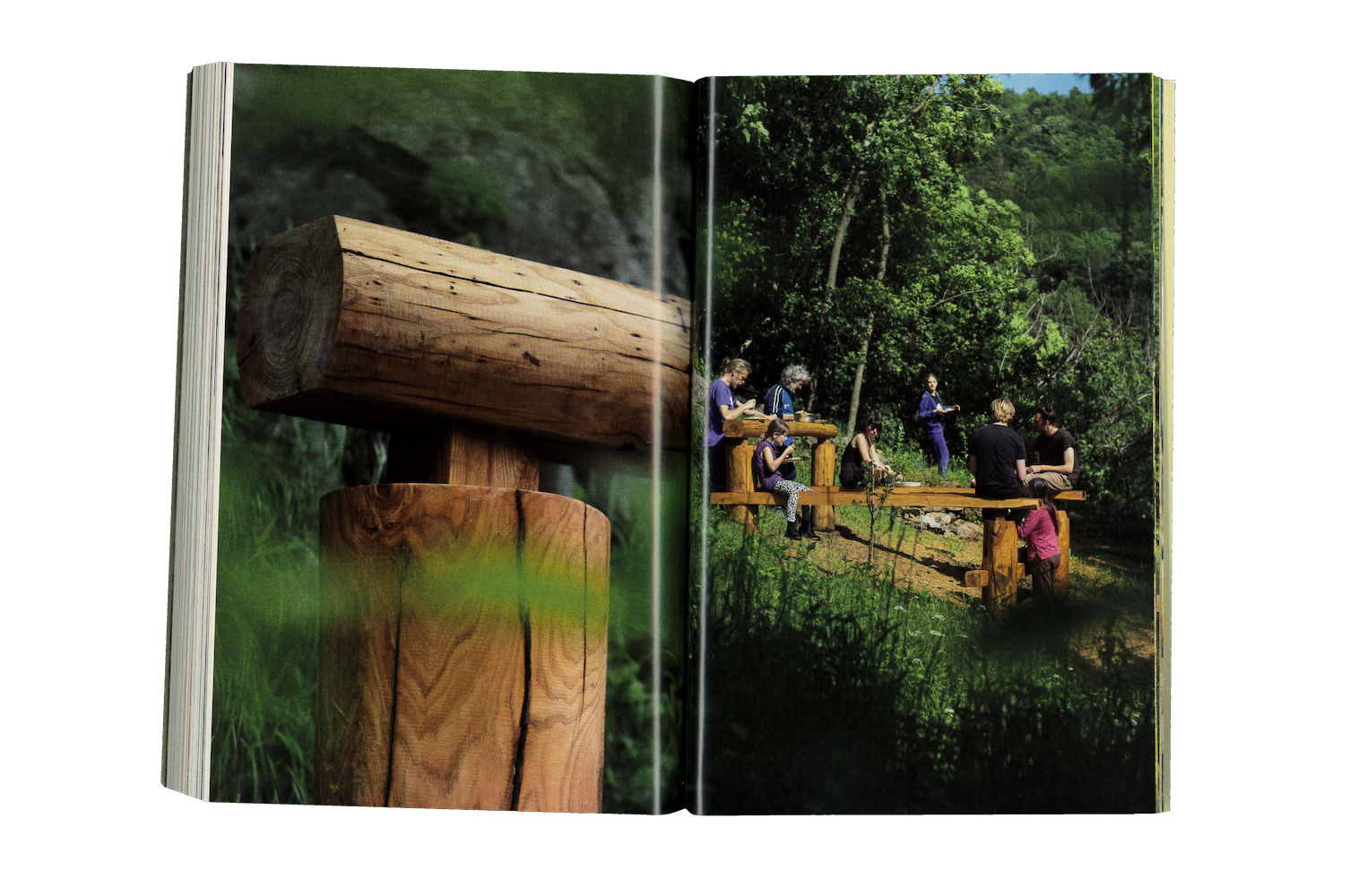 Photo by Antônio Frederico Lasalvia