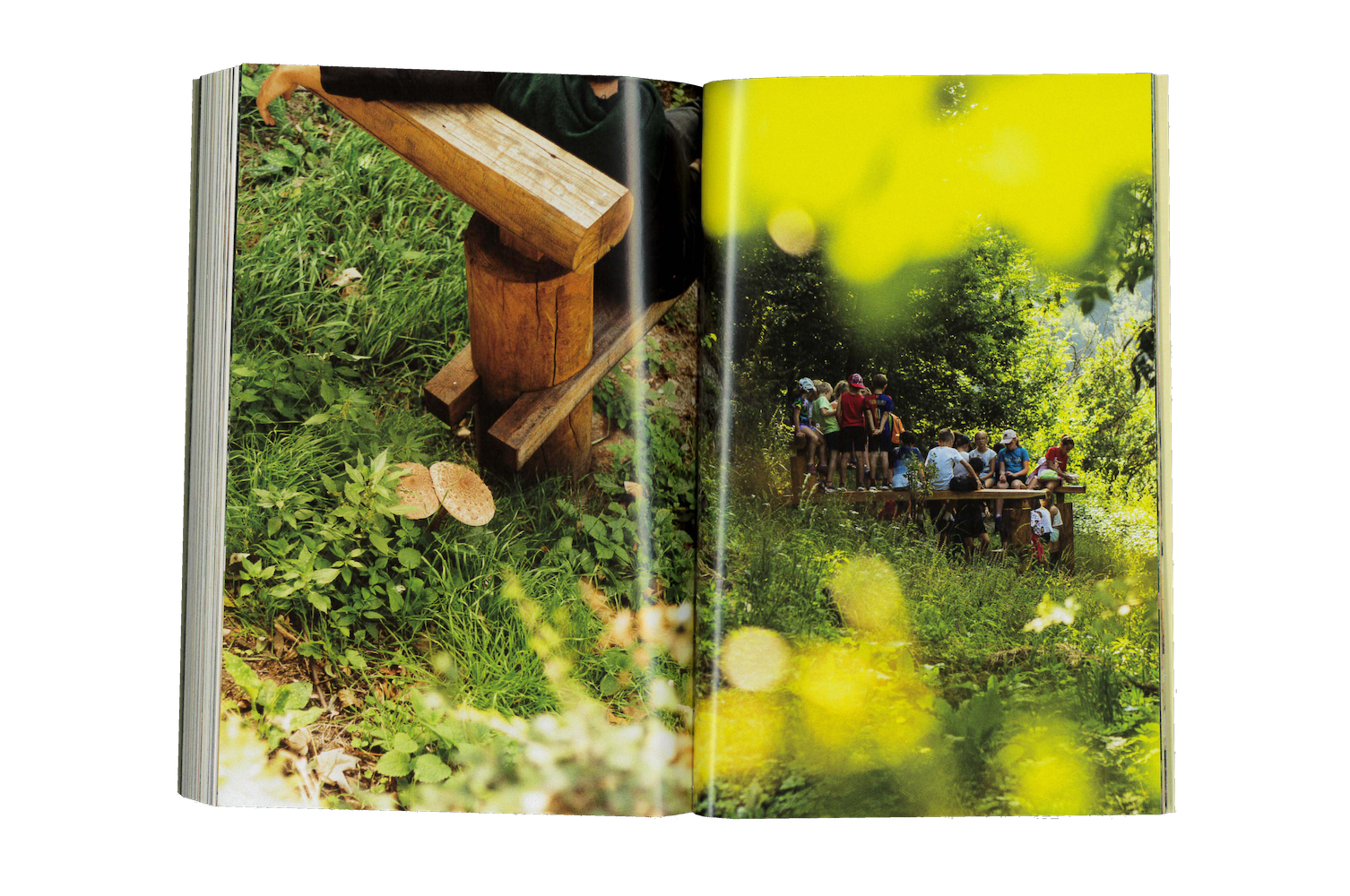 Photo by Antônio Frederico Lasalvia