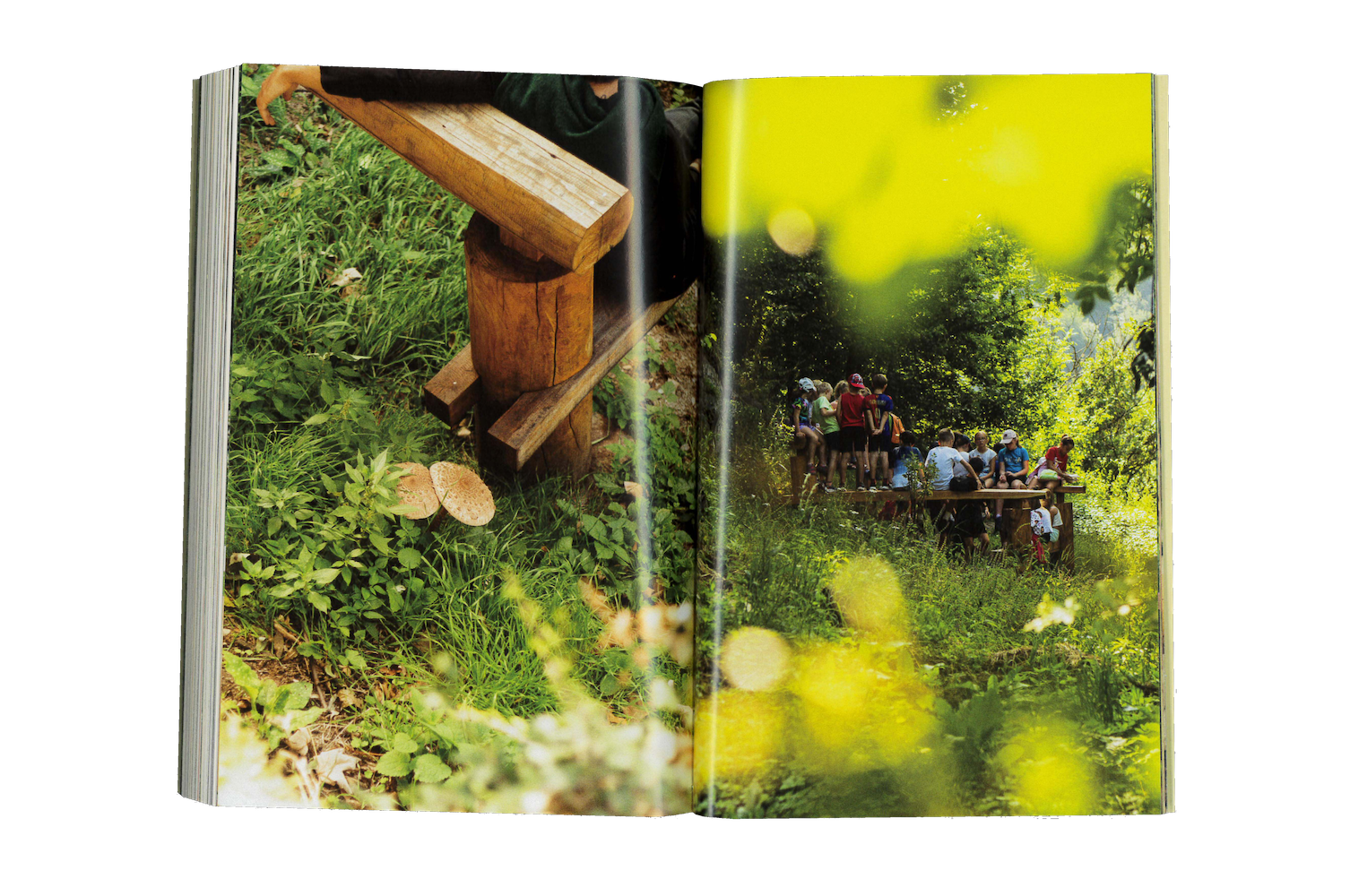 Photo by Antônio Frederico Lasalvia