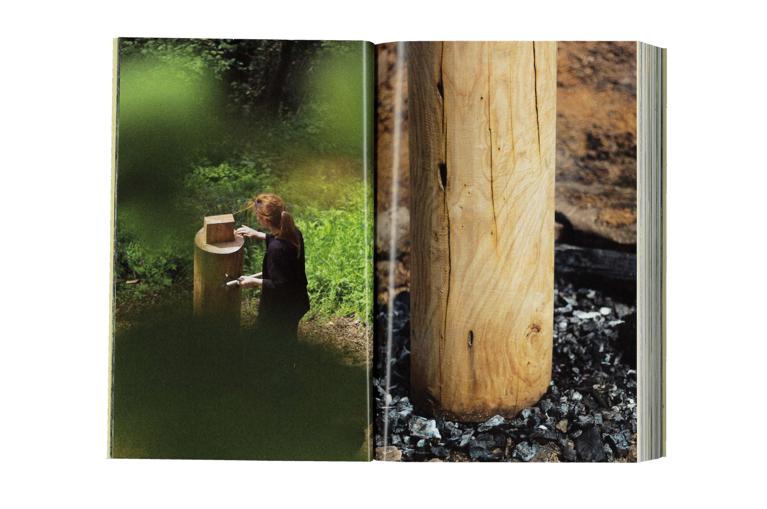 Photo by Antônio Frederico Lasalvia