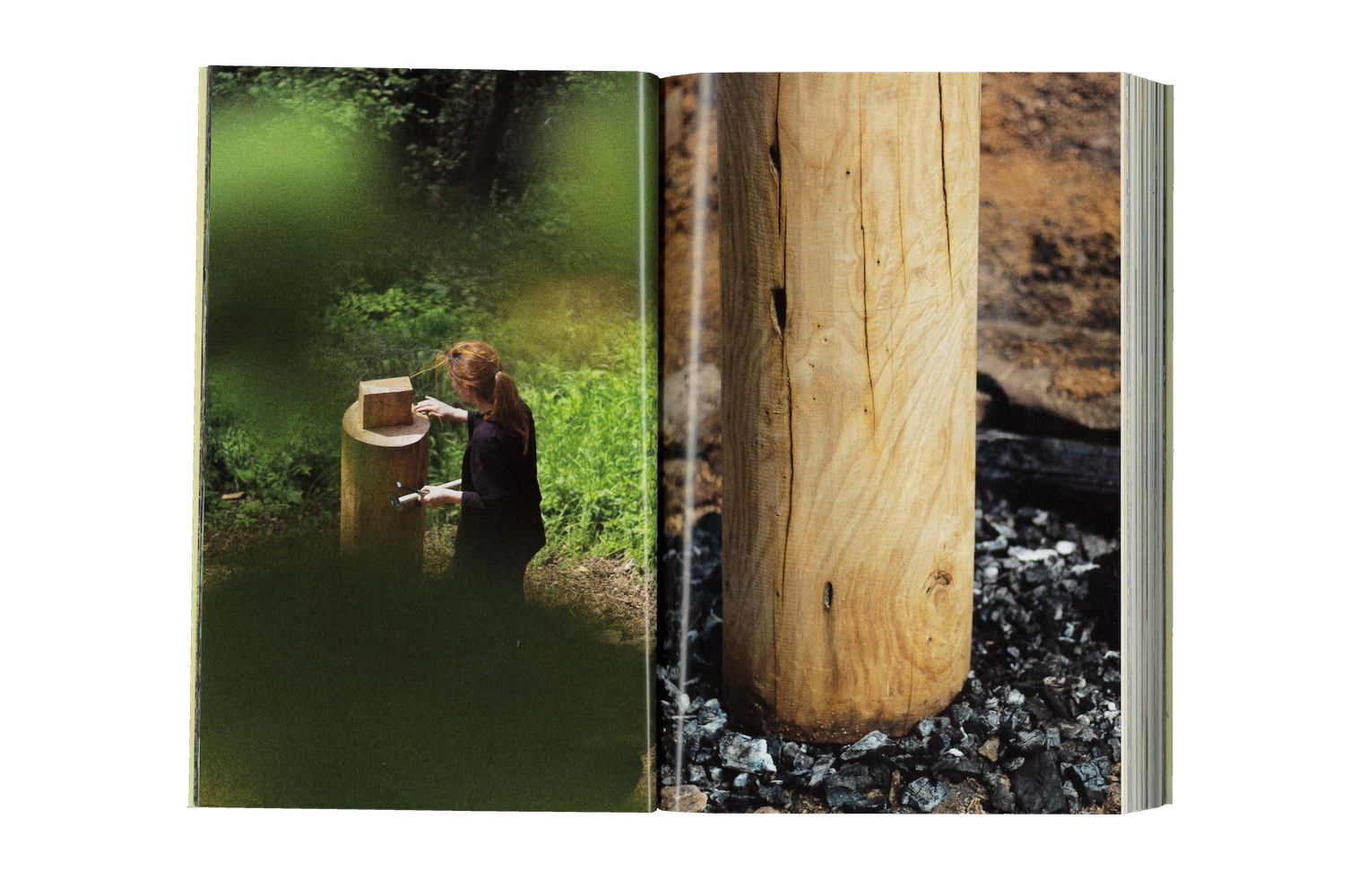 Photo by Antônio Frederico Lasalvia