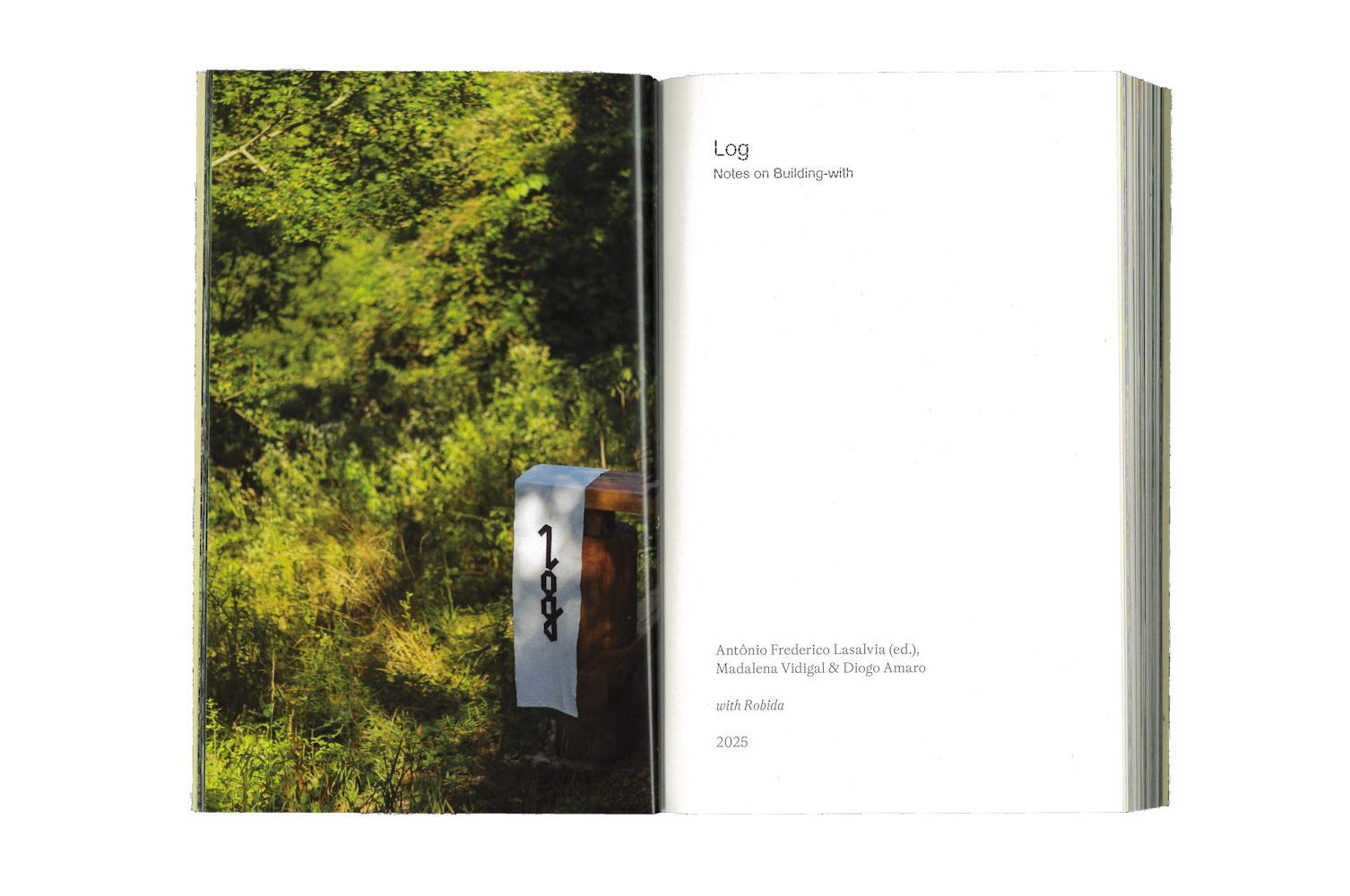 Photo by Antônio Frederico Lasalvia