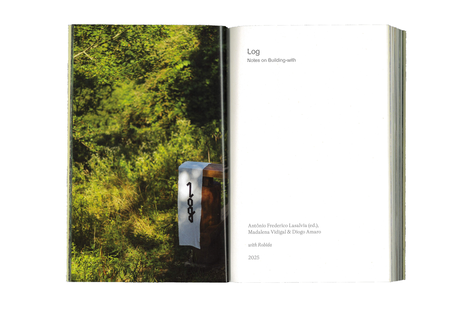 Photo by Antônio Frederico Lasalvia