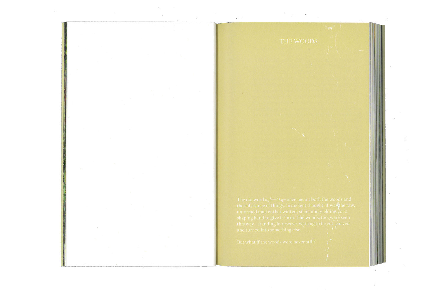 Photo by Antônio Frederico Lasalvia