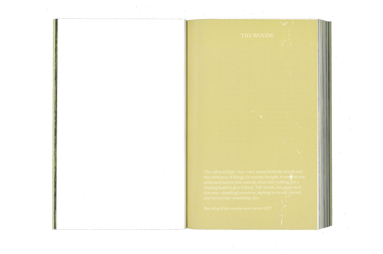 Photo by Antônio Frederico Lasalvia