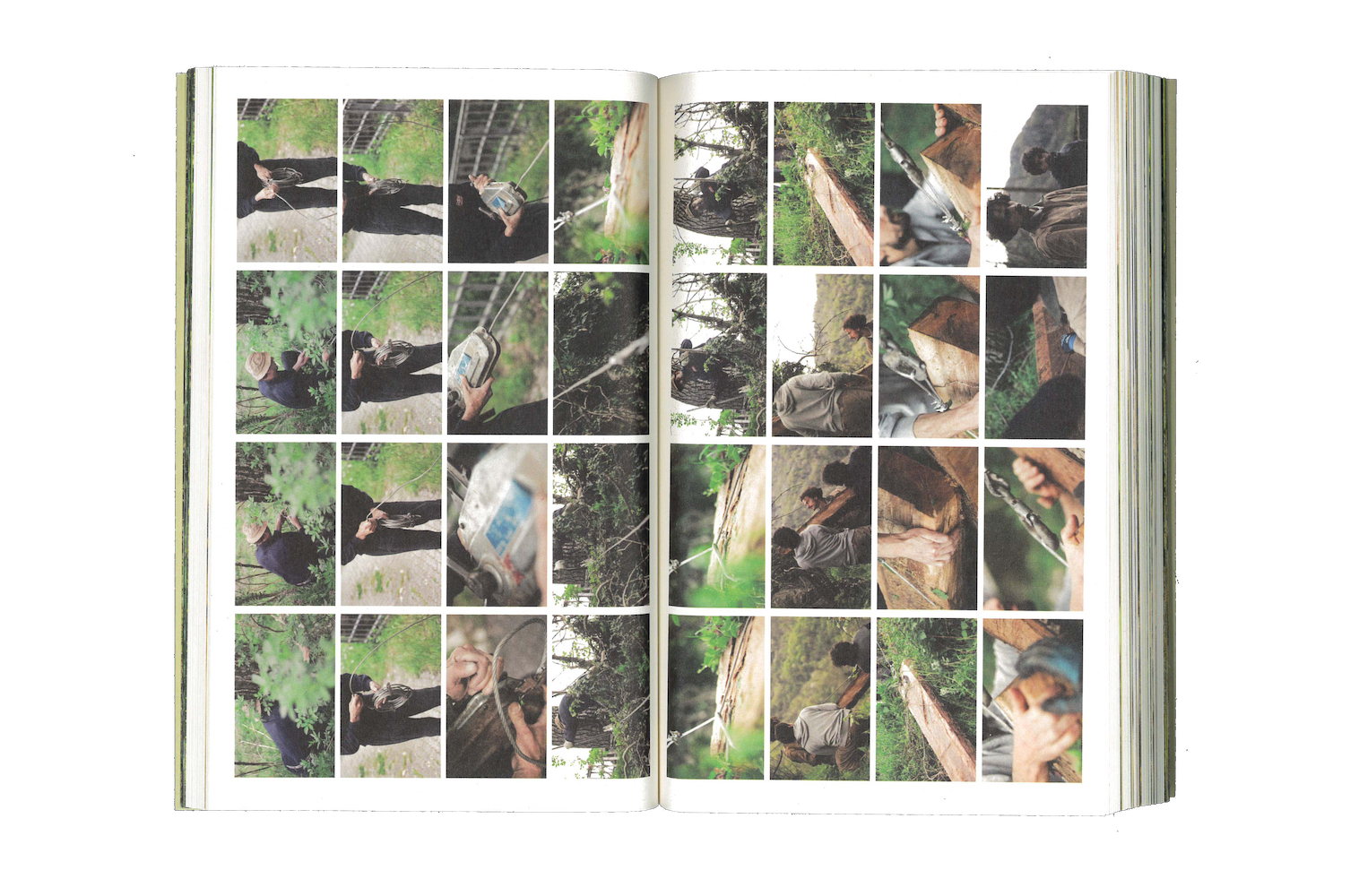 Photo by Antônio Frederico Lasalvia