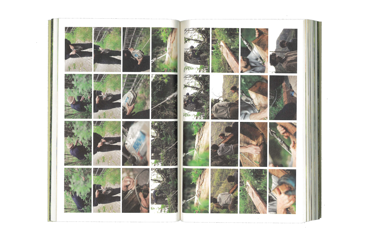 Photo by Antônio Frederico Lasalvia