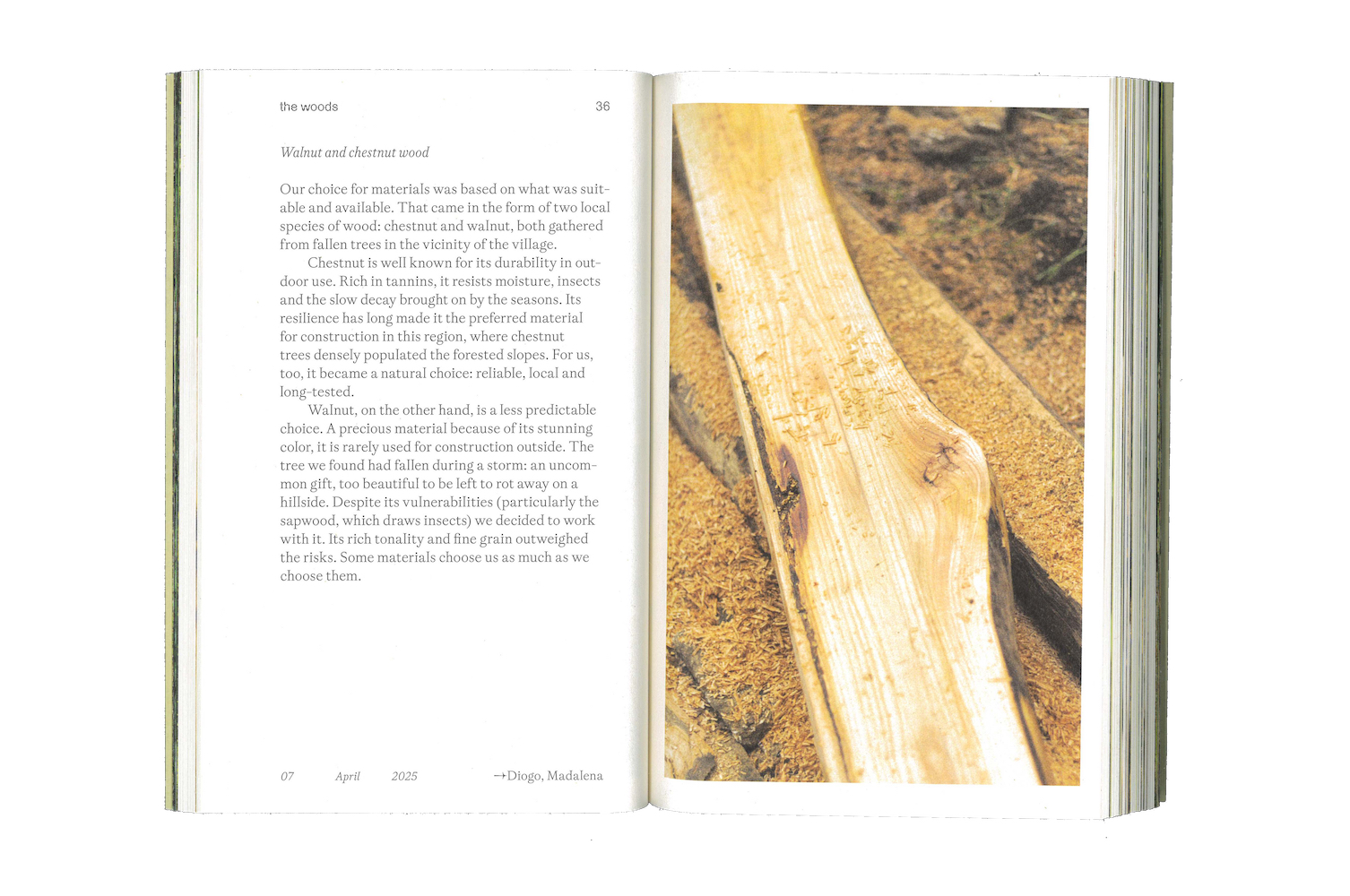 Photo by Antônio Frederico Lasalvia