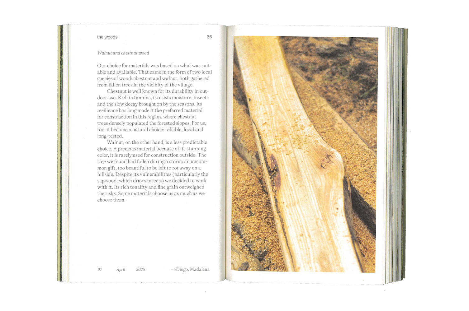 Photo by Antônio Frederico Lasalvia